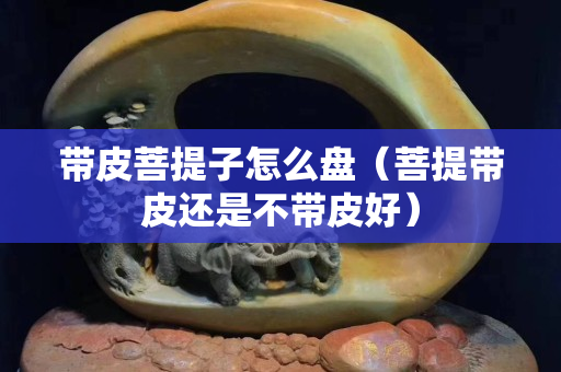 帶皮菩提子怎么盤（菩提帶皮還是不帶皮好）
