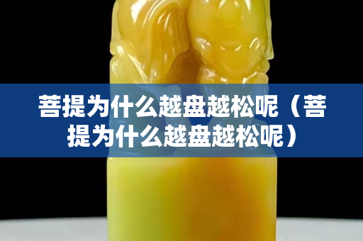 菩提為什么越盤越松呢（菩提為什么越盤越松呢）