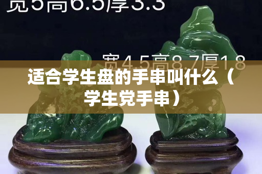 適合學生盤的手串叫什么（學生黨手串）