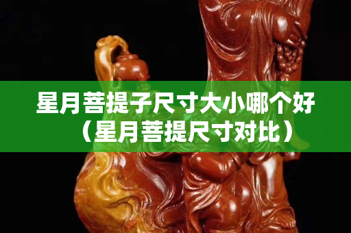星月菩提子尺寸大小哪個好（星月菩提尺寸對比）