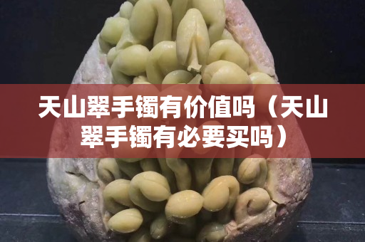 天山翠手鐲有價值嗎（天山翠手鐲有必要買嗎）