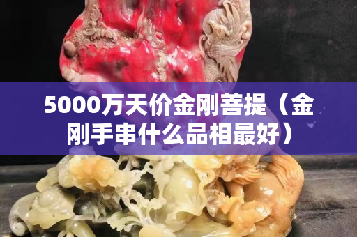 5000萬天價金剛菩提（金剛手串什么品相最好）