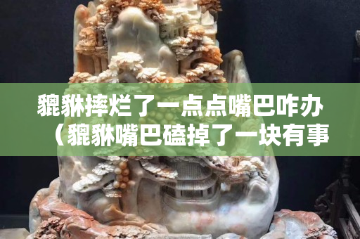 貔貅摔爛了一點(diǎn)點(diǎn)嘴巴咋辦（貔貅嘴巴磕掉了一塊有事嗎）
