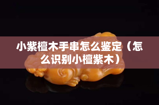 小紫檀木手串怎么鑒定（怎么識別小檀紫木）