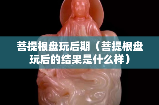 菩提根盤玩后期（菩提根盤玩后的結果是什么樣）