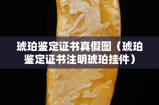 琥珀鑒定證書真假圖（琥珀鑒定證書注明琥珀掛件）