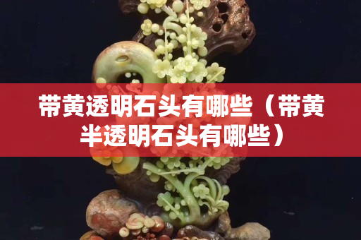 帶黃透明石頭有哪些（帶黃半透明石頭有哪些）