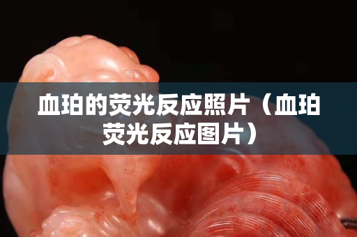 血珀的熒光反應(yīng)照片（血珀熒光反應(yīng)圖片）