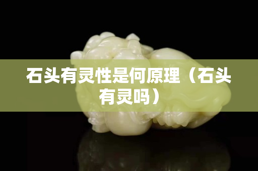 石頭有靈性是何原理（石頭有靈嗎）