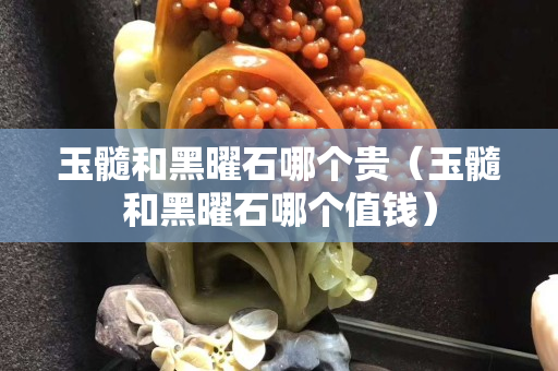 玉髓和黑曜石哪個貴（玉髓和黑曜石哪個值錢）