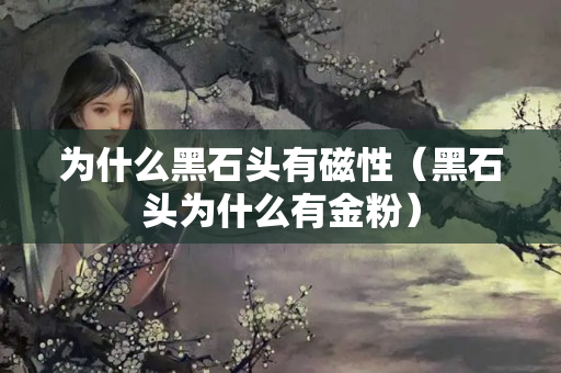 為什么黑石頭有磁性（黑石頭為什么有金粉）
