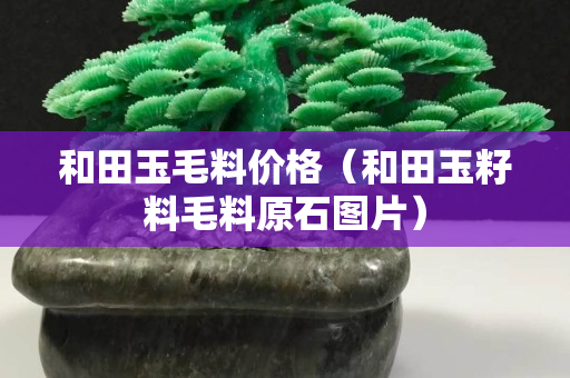和田玉毛料價格（和田玉籽料毛料原石圖片）