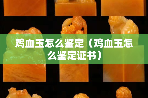 雞血玉怎么鑒定（雞血玉怎么鑒定證書）