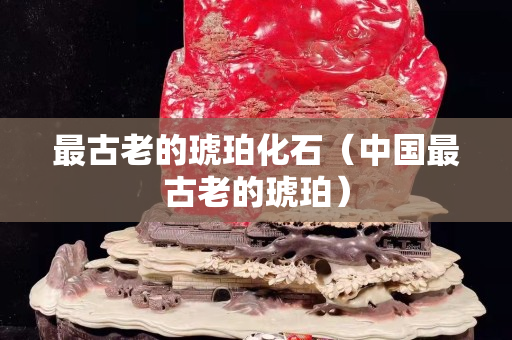 最古老的琥珀化石（中國(guó)最古老的琥珀）