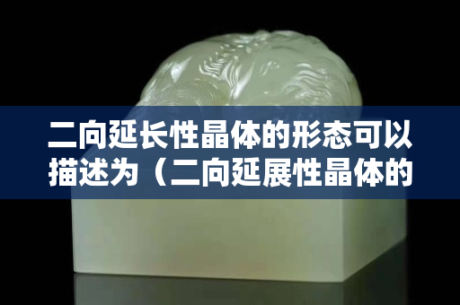 二向延長性晶體的形態可以描述為（二向延展性晶體的形態可以描述為）