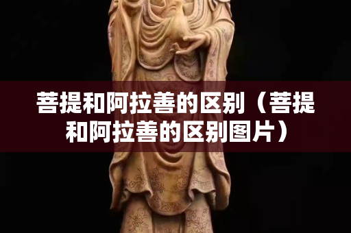菩提和阿拉善的區別（菩提和阿拉善的區別圖片）
