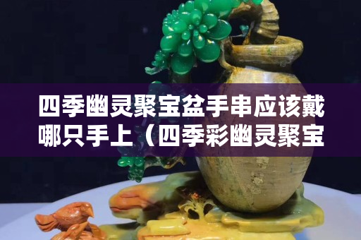 四季幽靈聚寶盆手串應該戴哪只手上（四季彩幽靈聚寶盆的功效）