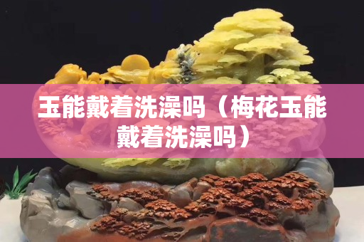 玉能戴著洗澡嗎（梅花玉能戴著洗澡嗎）