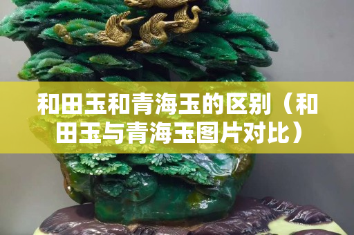 和田玉和青海玉的區(qū)別（和田玉與青海玉圖片對比）