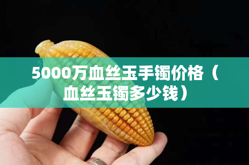 5000萬血絲玉手鐲價格（血絲玉鐲多少錢）