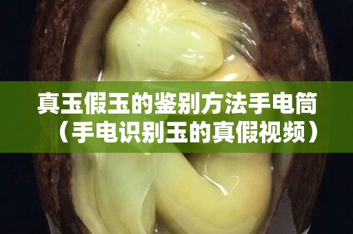 真玉假玉的鑒別方法手電筒（手電識別玉的真假視頻）