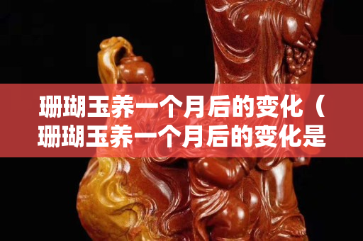 珊瑚玉養一個月后的變化（珊瑚玉養一個月后的變化是什么）