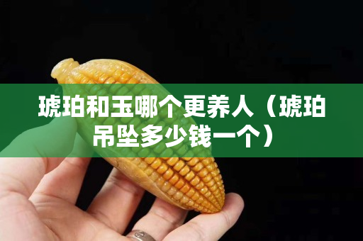琥珀和玉哪個更養人（琥珀吊墜多少錢一個）
