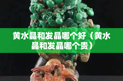 黃水晶和發晶哪個好（黃水晶和發晶哪個貴）