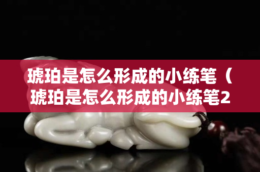 琥珀是怎么形成的小練筆（琥珀是怎么形成的小練筆250字）