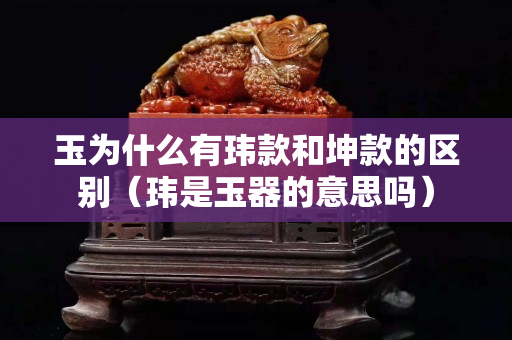 玉為什么有瑋款和坤款的區別（瑋是玉器的意思嗎）