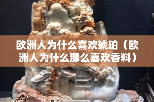 歐洲人為什么喜歡琥珀（歐洲人為什么那么喜歡香料）