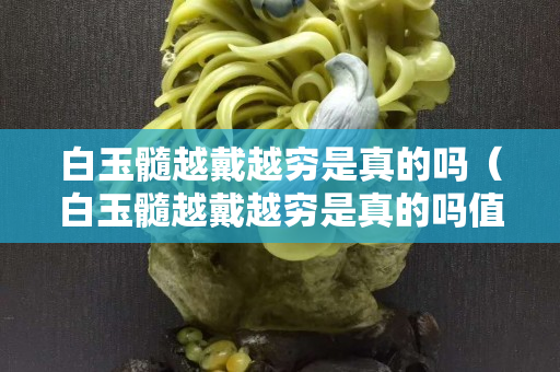 白玉髓越戴越窮是真的嗎（白玉髓越戴越窮是真的嗎值錢嗎）
