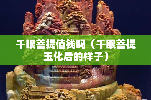 千眼菩提值錢嗎（千眼菩提玉化后的樣子）
