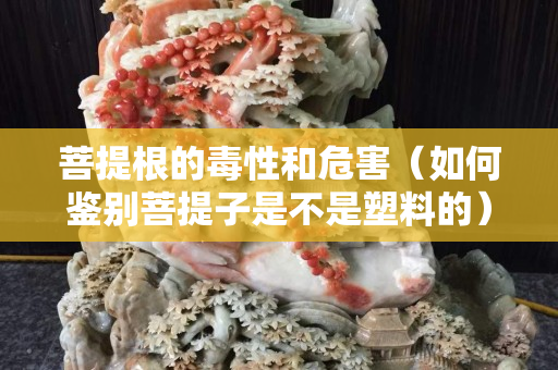 菩提根的毒性和危害（如何鑒別菩提子是不是塑料的）