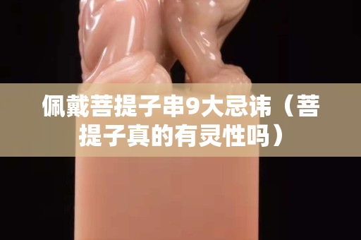 佩戴菩提子串9大忌諱（菩提子真的有靈性嗎）