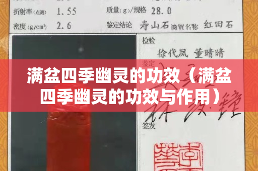 滿盆四季幽靈的功效（滿盆四季幽靈的功效與作用）