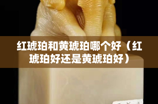 紅琥珀和黃琥珀哪個好（紅琥珀好還是黃琥珀好）