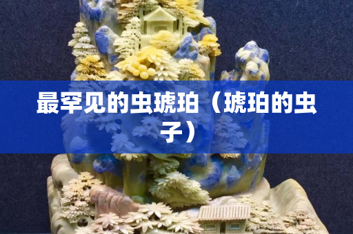 最罕見的蟲琥珀（琥珀的蟲子）