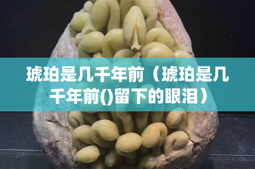 琥珀是幾千年前（琥珀是幾千年前()留下的眼淚）