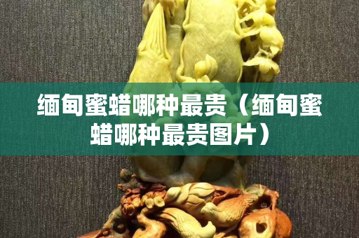 緬甸蜜蠟哪種最貴（緬甸蜜蠟哪種最貴圖片）