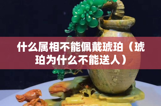 什么屬相不能佩戴琥珀（琥珀為什么不能送人）