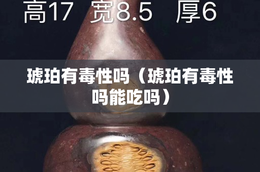琥珀有毒性嗎（琥珀有毒性嗎能吃嗎）