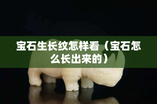 寶石生長紋怎樣看（寶石怎么長出來的）