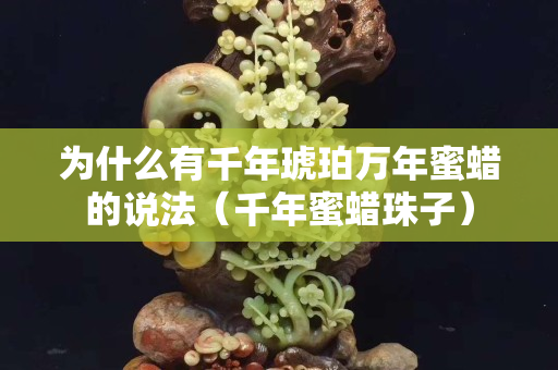 為什么有千年琥珀萬年蜜蠟的說法（千年蜜蠟珠子）