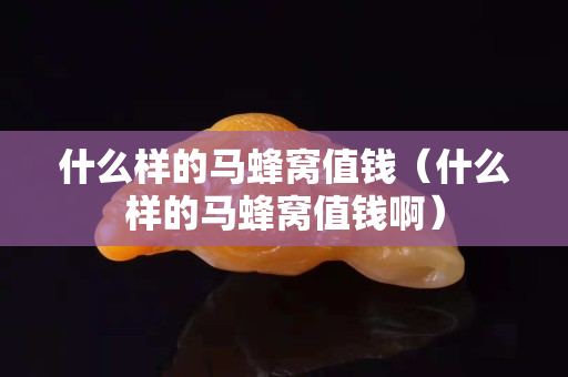 什么樣的馬蜂窩值錢（什么樣的馬蜂窩值錢啊）