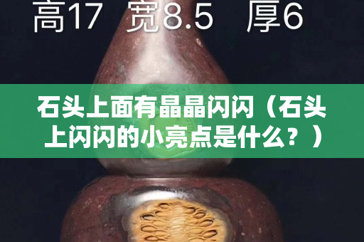 石頭上面有晶晶閃閃（石頭上閃閃的小亮點是什么？）