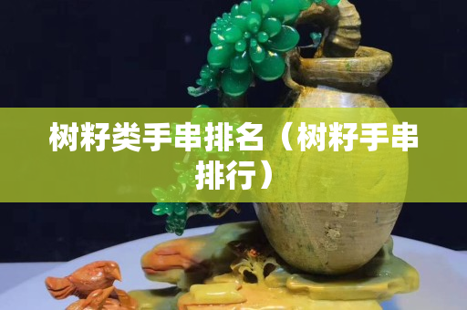 樹籽類手串排名（樹籽手串排行）