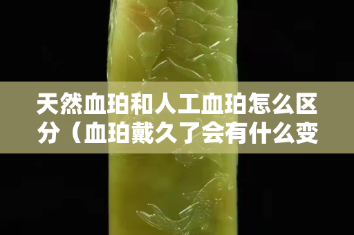 天然血珀和人工血珀怎么區分（血珀戴久了會有什么變化）