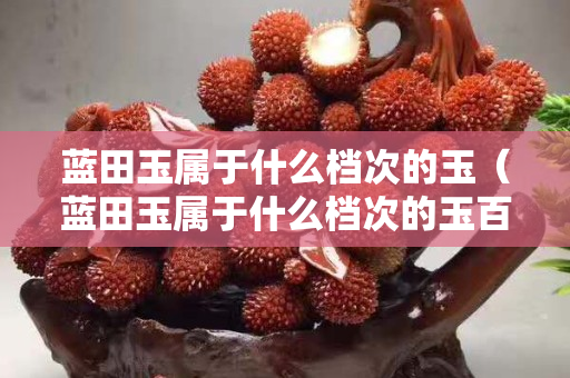 藍(lán)田玉屬于什么檔次的玉（藍(lán)田玉屬于什么檔次的玉百度）
