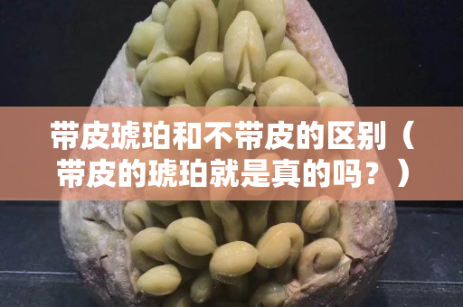 帶皮琥珀和不帶皮的區別（帶皮的琥珀就是真的嗎？）